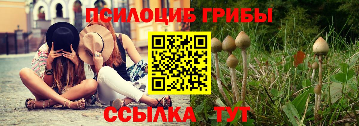 Галлюциногенные грибы Psilocybine cubensis  Вход с VPN  Галлюциногенные грибы мухоморы  купить наркоту  Краснокаменск 