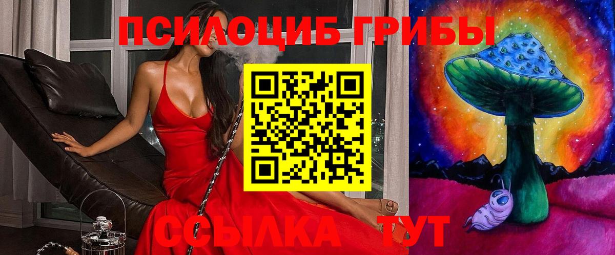 Псилоцибиновые грибы мицелий Краснокаменск